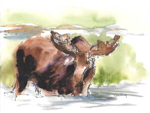 Wc Moose 2 Wc Moose 2