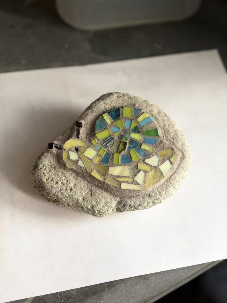 Rock Snail