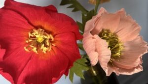 Img 8325