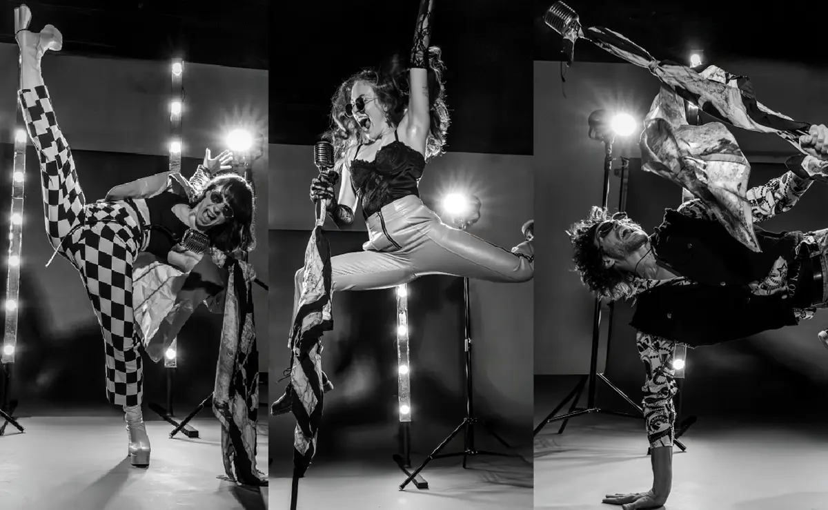 Wsd Aerosmith Bw 2